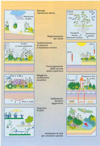 http://www.ethicalgarden.it/var/ezwebin_site/storage/images/pagine-verdi/tetti-verdi/i-vantaggi-di-un-sistema-di-copertura-a-verde/1163-1-ita-IT/I-vantaggi-di-un-sistema-di-copertura-a-verde.jpg